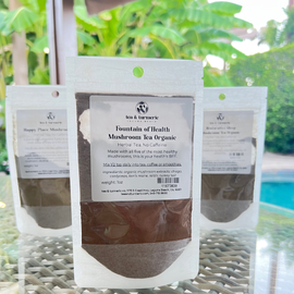 Your Orange County Guide to Functional Mushrooms for Energy, Focus, and Rest