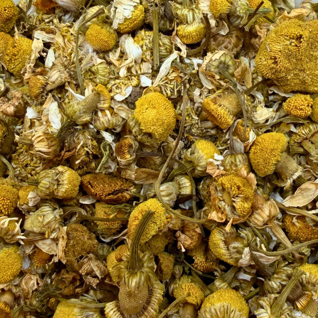 Chamomile Tea Organic