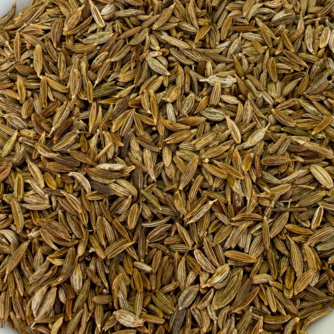 Cumin Seeds Whole Organic