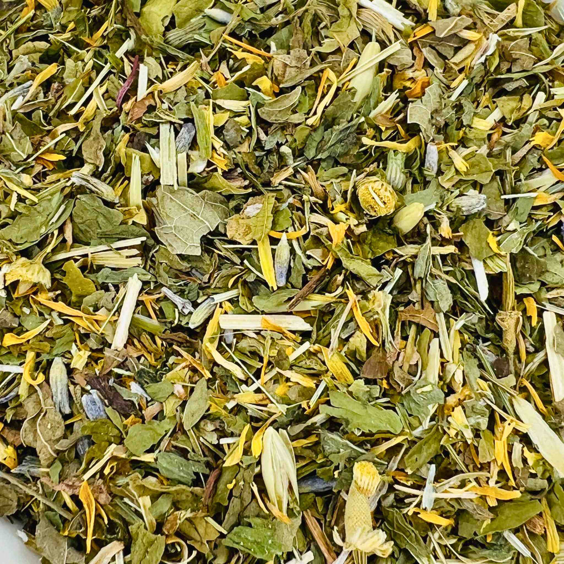 Dream Catcher Organic