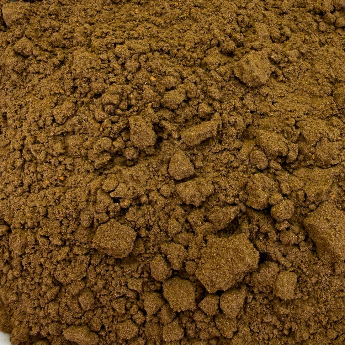 Fountain of Health Mushroom Tea Organic