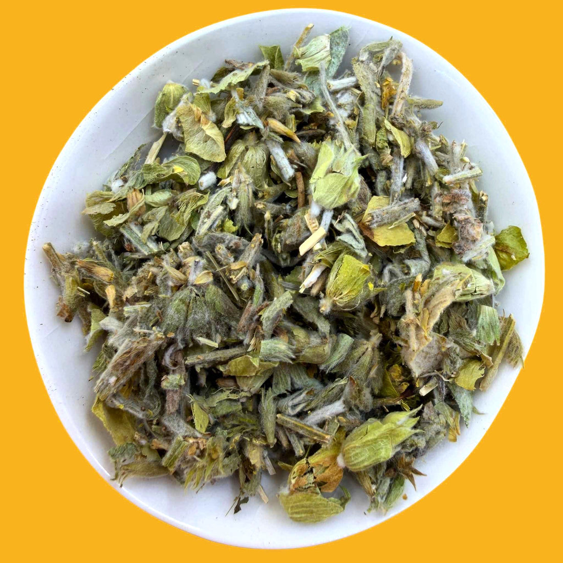 Greek Mountain Shepherd Tea