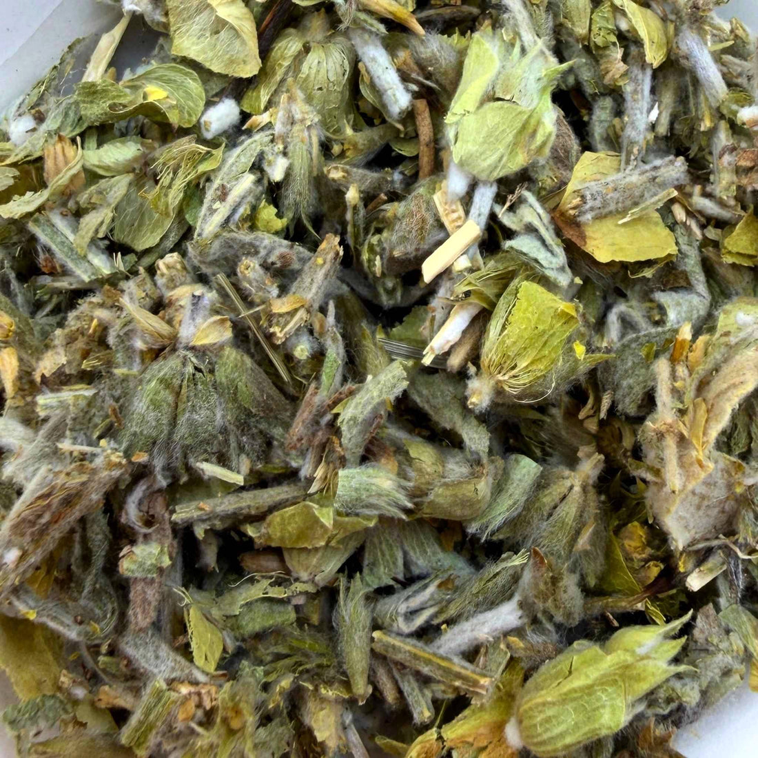 Greek Mountain Shepherd Tea