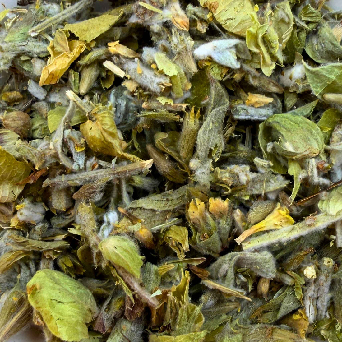 Greek Mountain Shepherd Tea