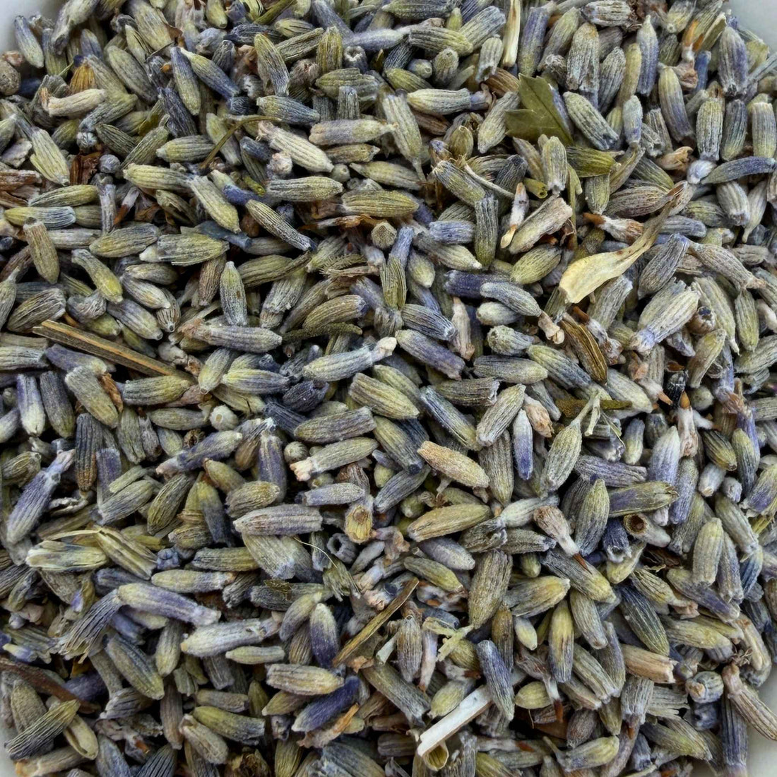 French Lavender Super Blue Organic