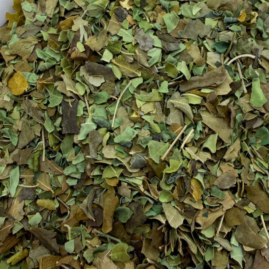 Moringa Leaf Organic
