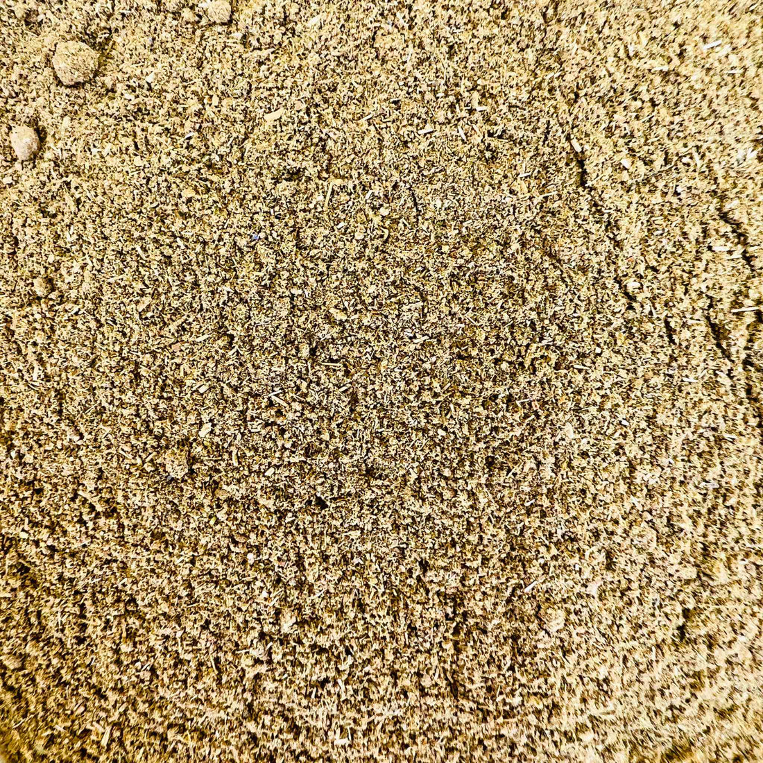 Restorative Sleep Mushroom Tea Organic