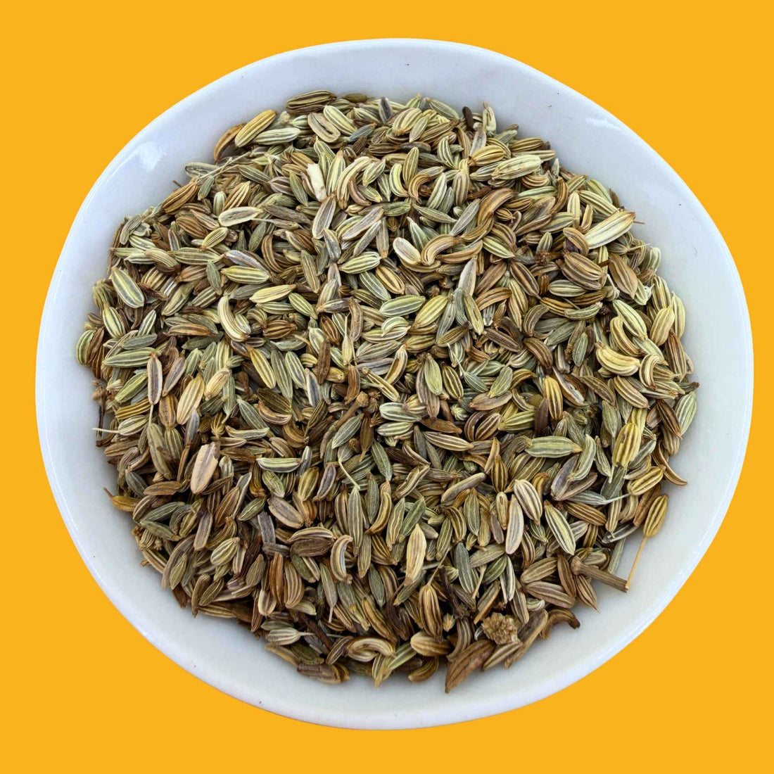 Fennel Seeds Organic