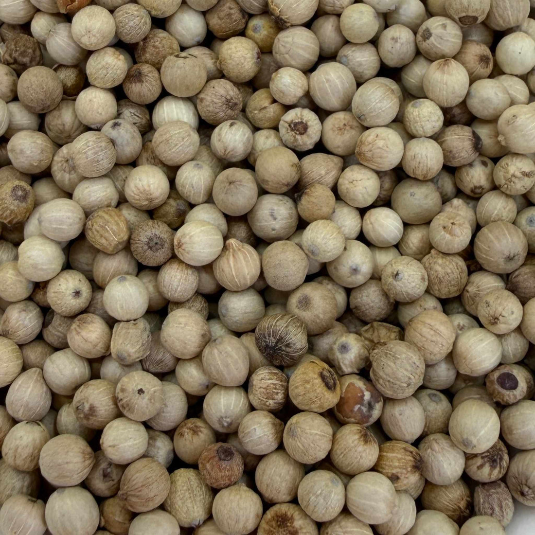 White Peppercorn Whole Organic