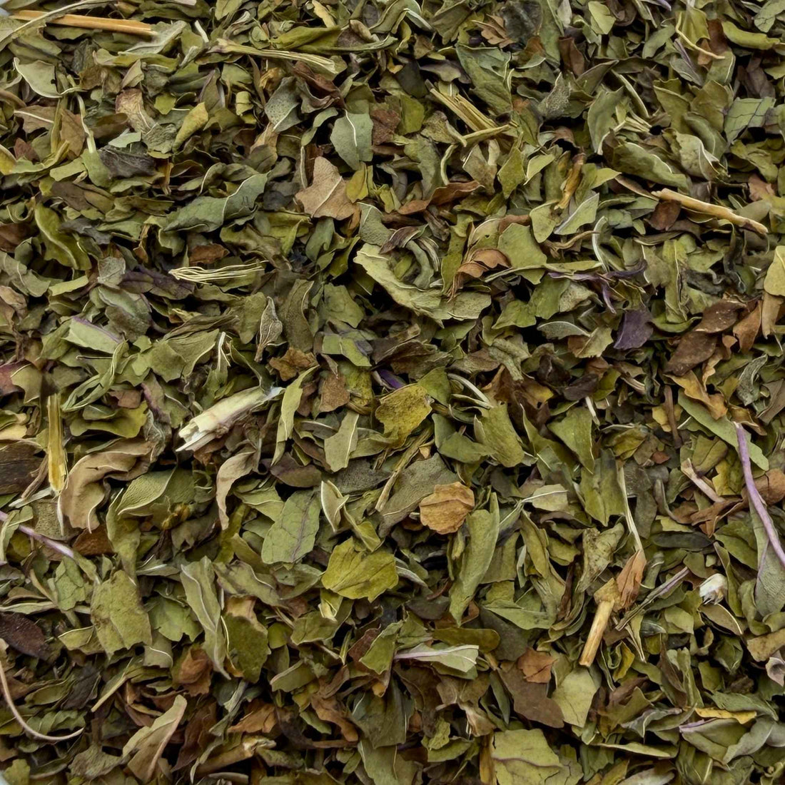 Peppermint Herbal Tea Organic