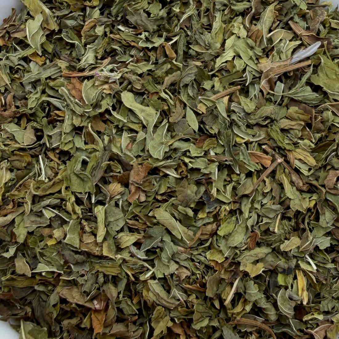 Spearmint Tea Organic