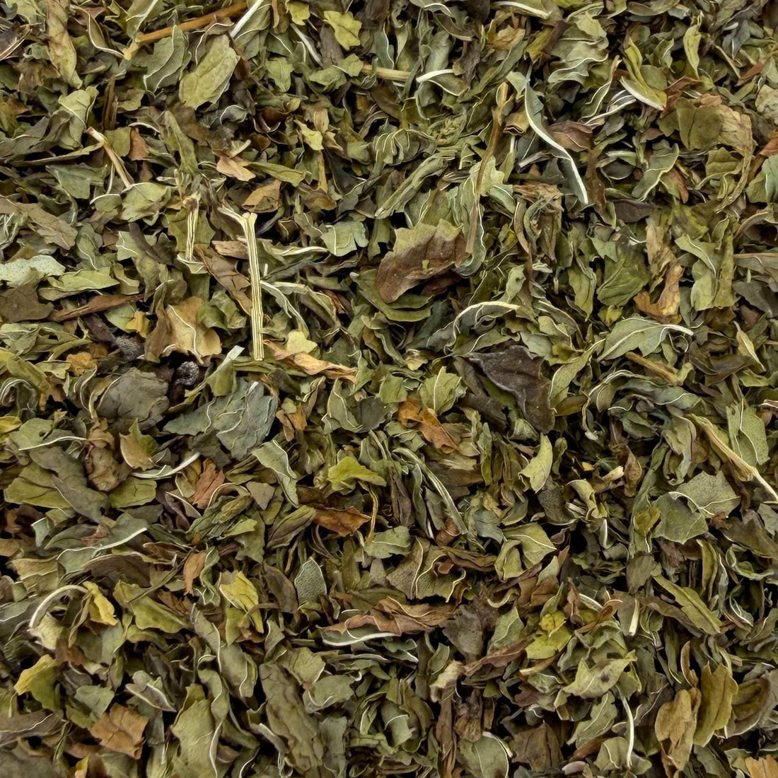 Spearmint Tea Organic