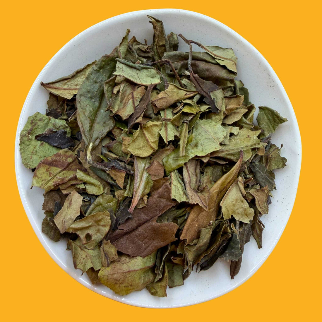 Organic White Peony Tea
