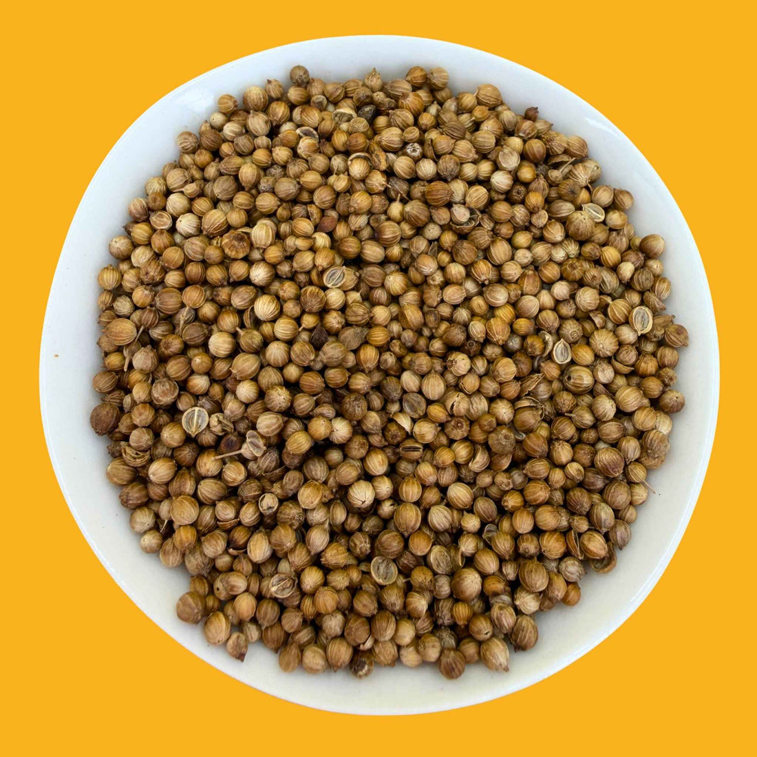 Coriander Seeds Whole Organic