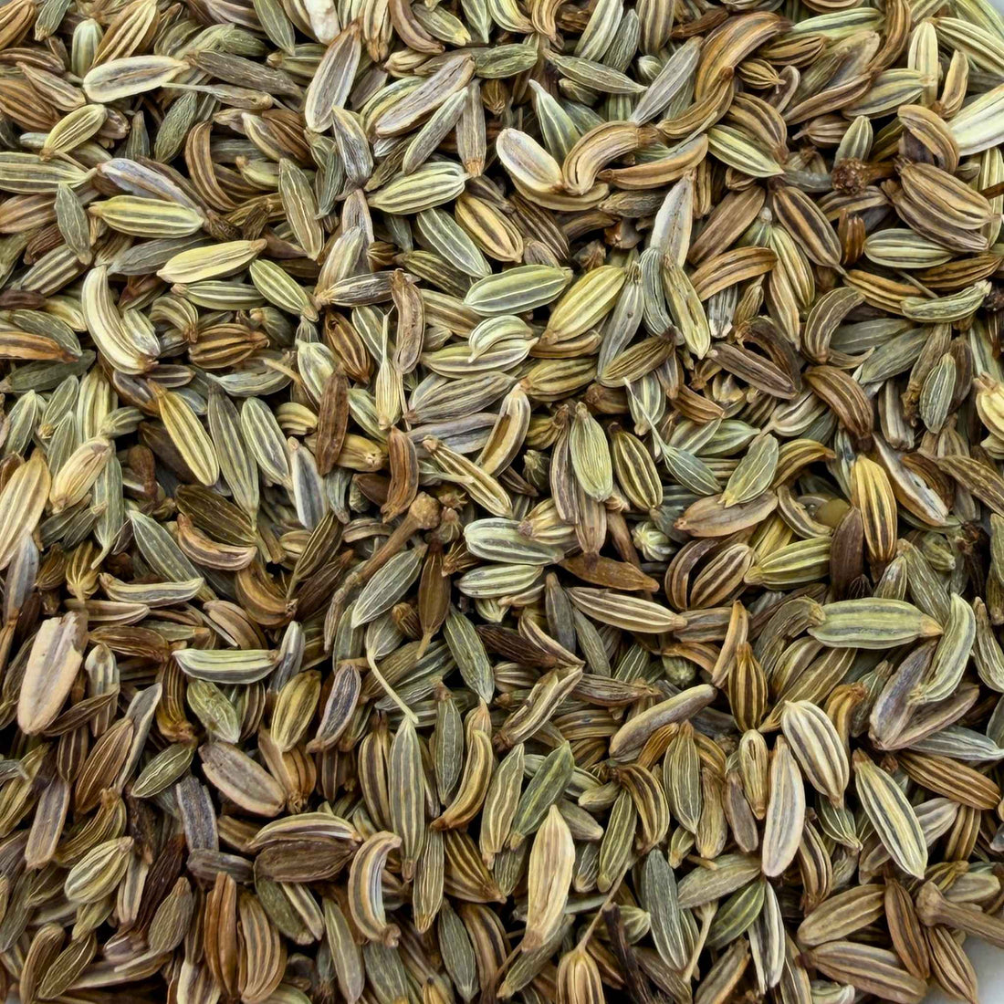 Fennel Seeds Organic