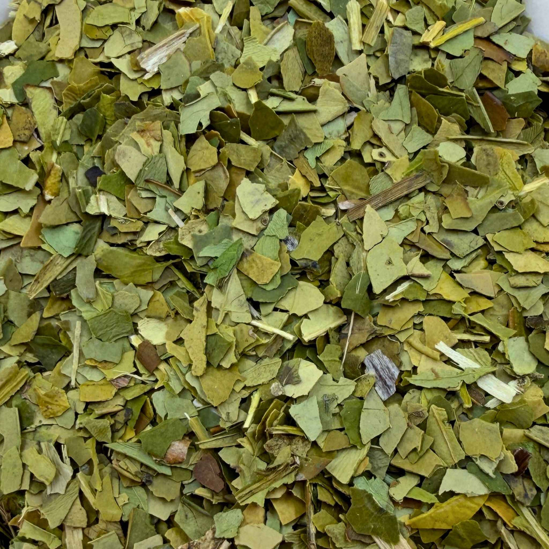 Yerba Mate Organic Tea