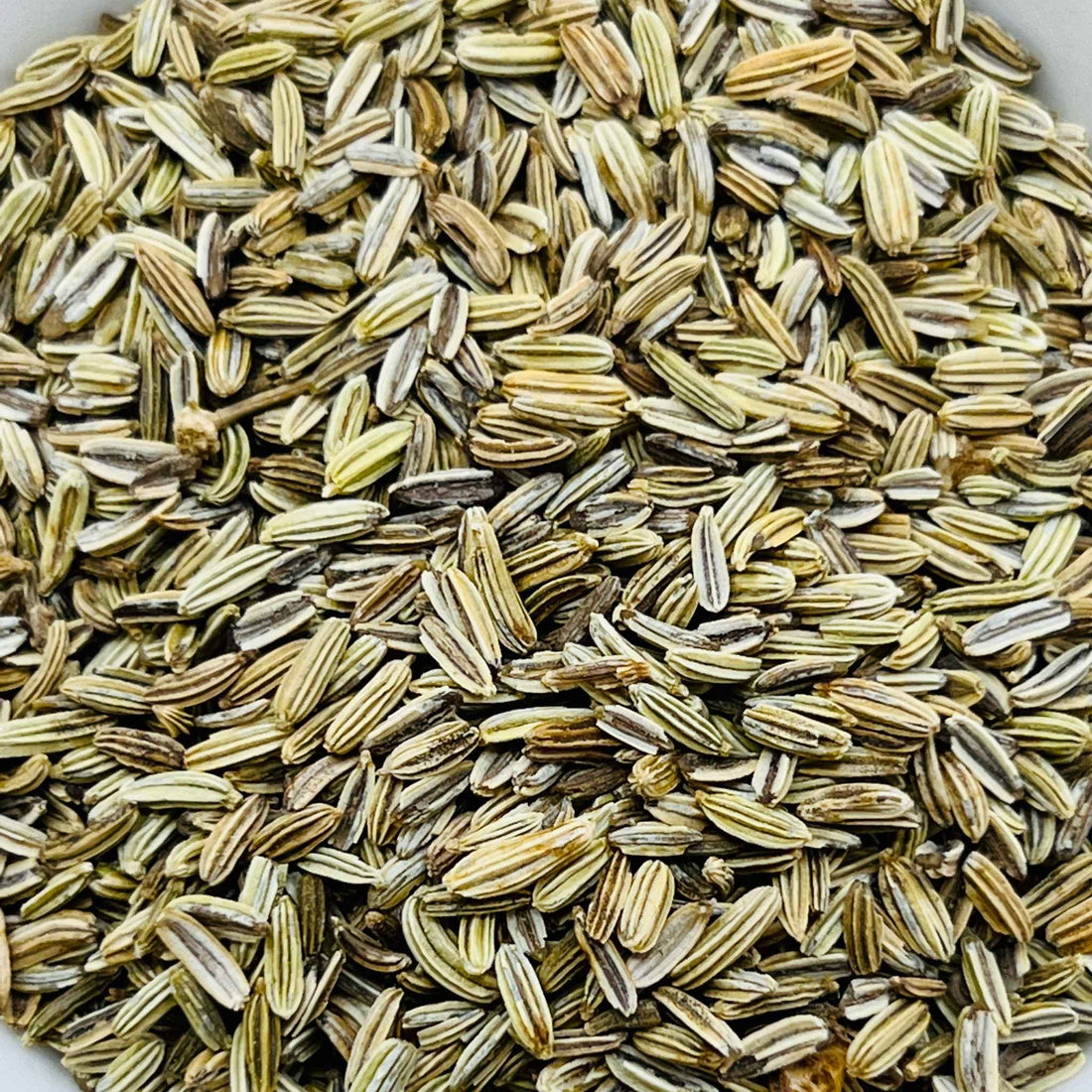 Fennel Seeds Organic