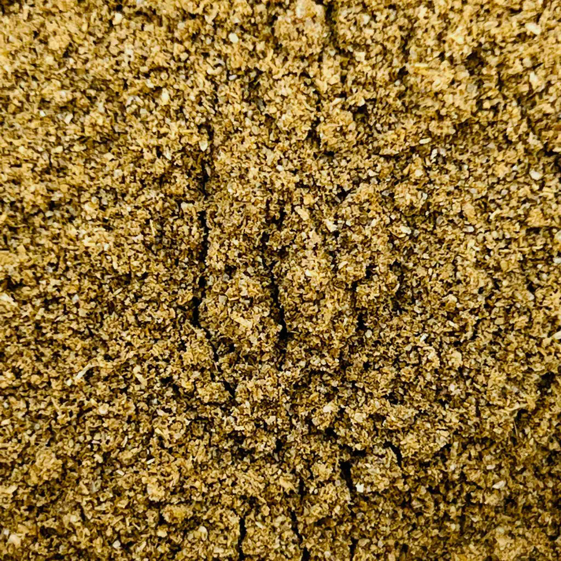 Coriander Seed Ground Organic