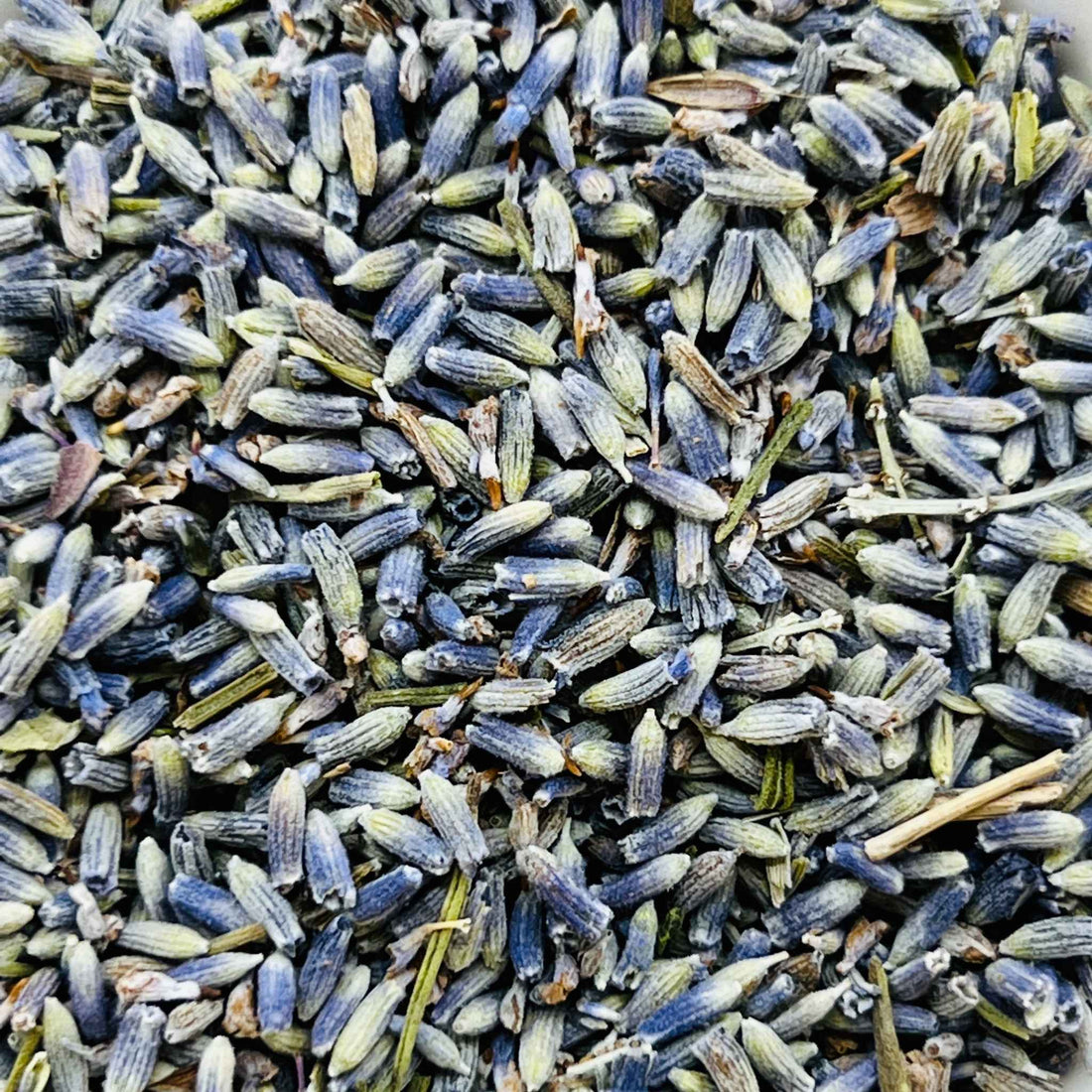 French Lavender Super Blue Organic