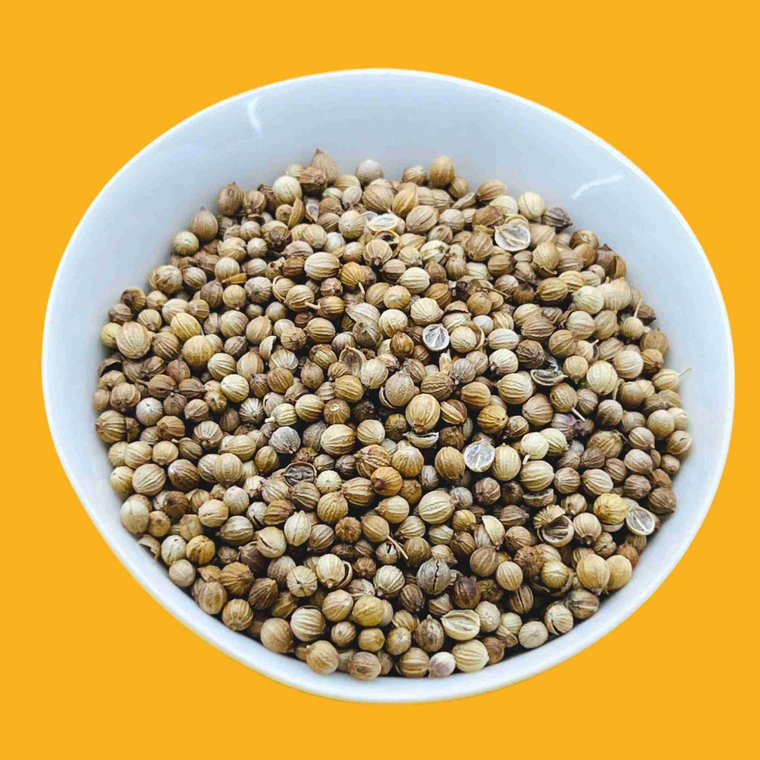 Coriander Seeds Organic