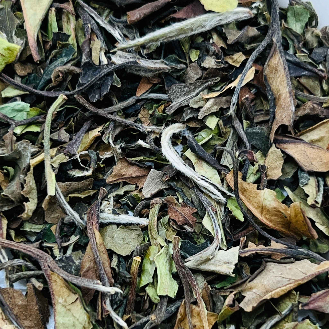 Organic White Peony Tea