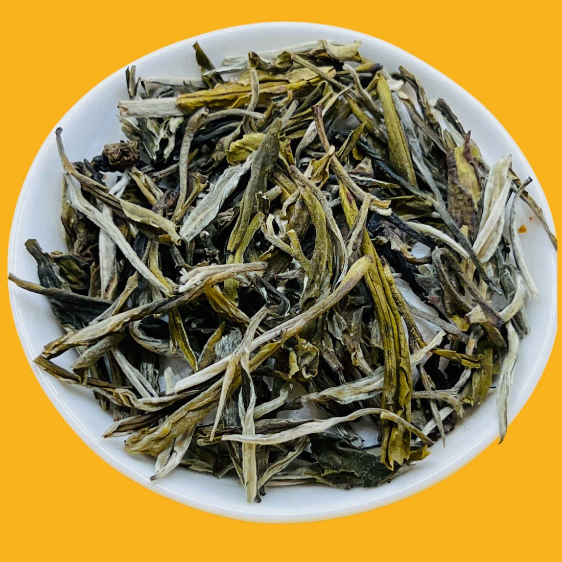 White Pine Needle Tea