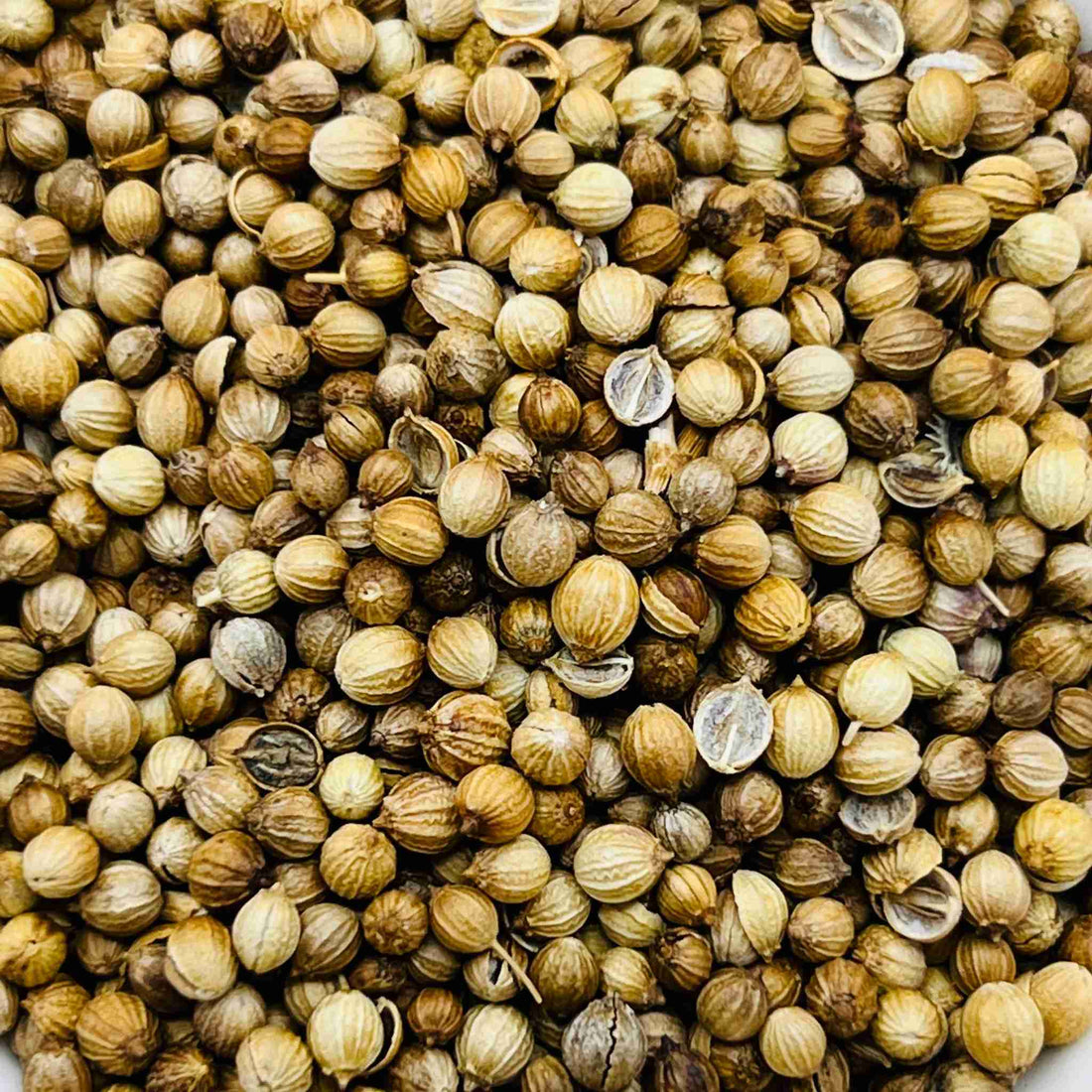 Coriander Seeds Organic